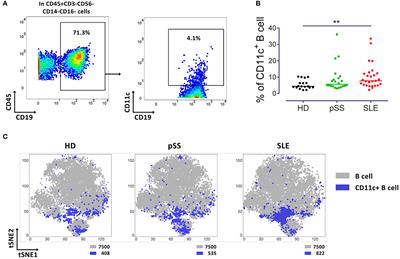 Deep Phenotyping of CD11c+ B Cells in Systemic Autoimmunity and Controls